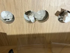 Pronájem garážového stání, Brno, Cejl, 17 m2