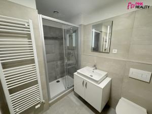 Pronájem bytu 1+kk, Rychnov nad Kněžnou, Javornická, 35 m2