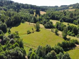 Prodej pozemku pro bydlení, Olešnice v Orlických horách, 3728 m2