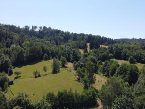 Prodej pozemku pro bydlení, Olešnice v Orlických horách, 2839 m2