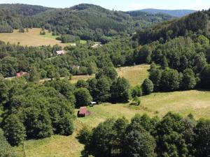 Prodej pozemku pro bydlení, Olešnice v Orlických horách, 3118 m2