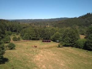 Prodej pozemku pro bydlení, Olešnice v Orlických horách, 3118 m2