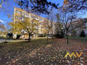 Prodej bytu 2+1, Hradec Králové - Slezské Předměstí, Severní, 44 m2