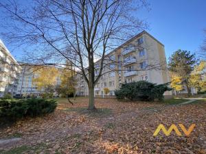 Prodej bytu 2+1, Hradec Králové - Slezské Předměstí, Severní, 44 m2