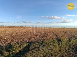 Prodej pole, Moravský Žižkov, 9180 m2