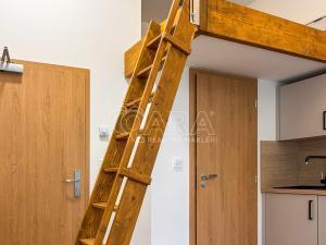 Pronájem bytu 1+kk, Praha - Nové Město, Sokolská, 17 m2