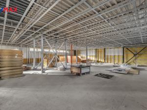 Prodej obchodního prostoru, Hradec Králové - Slezské Předměstí, Bratří Štefanů, 876 m2