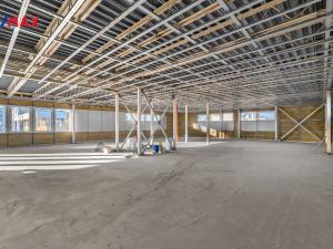 Prodej obchodního prostoru, Hradec Králové - Slezské Předměstí, Bratří Štefanů, 876 m2