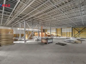 Prodej obchodního prostoru, Hradec Králové - Slezské Předměstí, Bratří Štefanů, 876 m2