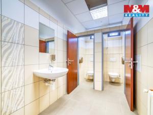 Pronájem kanceláře, Plzeň - Lobzy, Republikánská, 15 m2