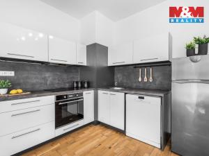 Prodej bytu 1+kk, Mladá Boleslav - Michalovice, 45 m2