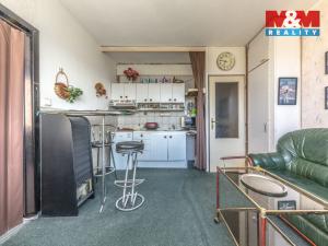 Prodej bytu 1+1, Ústí nad Labem - Severní Terasa, Kmochova, 33 m2