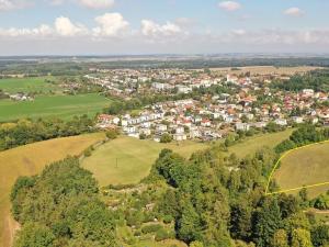 Prodej pozemku, Lázně Bohdaneč, Pod Břízami, 8173 m2