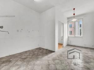 Prodej bytu 1+1, Praha - Nusle, Družstevní, 50 m2