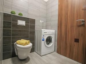 Pronájem bytu 1+kk, Brno, Lišejníková, 35 m2