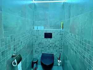 Prodej rodinného domu, Nová Ves, 278 m2