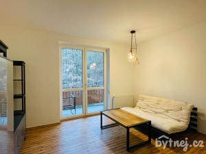 Pronájem bytu 2+kk, Zastávka, Havířská, 58 m2