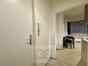 Pronájem bytu 1+kk, Brno, 23 m2