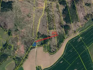 Prodej lesa, Zachotín, 792 m2