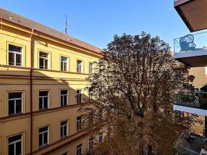 Pronájem bytu 3+kk, Praha - Staré Město, Rybná, 108 m2