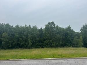 Dražba pozemku pro bydlení, Slavče, 1251 m2