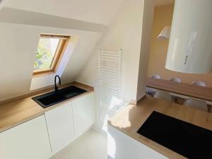 Pronájem bytu 4+kk, Brno, Libušino údolí, 160 m2