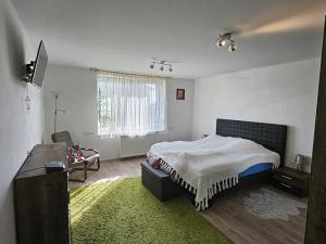 Prodej rodinného domu, Jaroměř, Národní, 217 m2