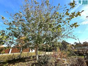 Prodej rodinného domu, Jiřice, 137 m2