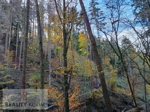 Prodej lesa, Horní Loučky, 11258 m2