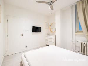 Pronájem bytu 2+kk, Praha - Nové Město, Opletalova, 42 m2