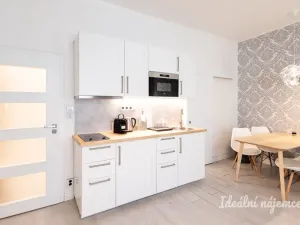 Pronájem bytu 2+kk, Praha - Nové Město, Opletalova, 42 m2