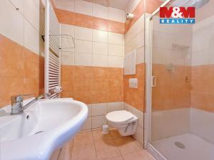 Prodej bytu 3+1, Jistebnice - Ostrý, 66 m2