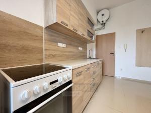 Pronájem bytu 1+kk, České Budějovice - České Budějovice 4, Dobrovodská, 19 m2