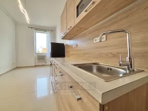 Pronájem bytu 1+kk, České Budějovice - České Budějovice 4, Dobrovodská, 19 m2