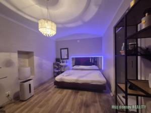 Pronájem obchodního prostoru, Praha - Vinohrady, Lužická, 150 m2