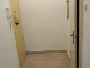 Prodej bytu 1+1, Kralovice, Na Palcátech, 48 m2