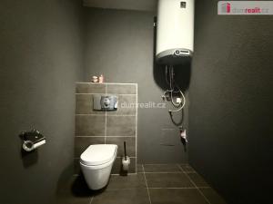 Pronájem bytu 2+kk, Modlany, 83 m2