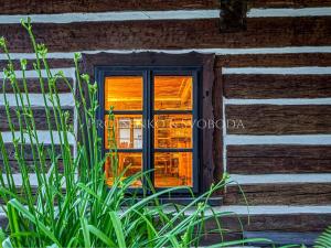 Prodej apartmánu, Dalečín, 536 m2