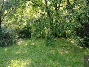 Prodej zahrady, Uherský Brod, 1078 m2