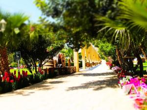 Prodej bytu 3+1, Trikomo, Kypr, 120 m2