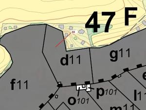 Dražba lesa, Sýkořice, 8962 m2
