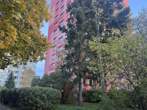 Prodej bytu 1+kk, Praha - Záběhlice, Jahodová, 26 m2