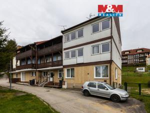 Prodej bytu 1+kk, Lipno nad Vltavou, 20 m2