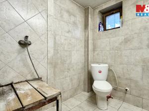 Pronájem výrobních prostor, Benátky nad Jizerou - Benátky nad Jizerou I, 700 m2