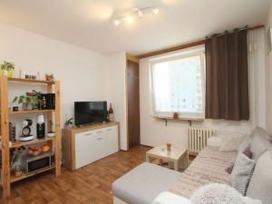 Prodej bytu 2+kk, Cihelna, Kunětická, 42 m2