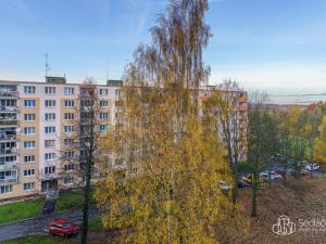 Prodej bytu 3+1, Sokolov, Mánesova, 83 m2