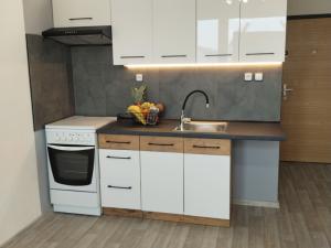 Pronájem bytu 1+1, Ústí nad Labem - Neštěmice, Na Výšině, 42 m2