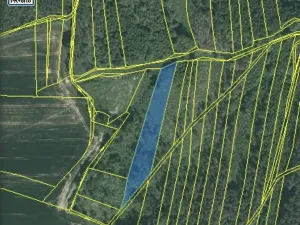 Dražba lesa, Blížejov, 4481 m2