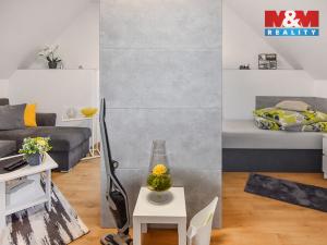 Pronájem bytu 1+kk, Plazy, 30 m2