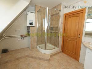 Pronájem atypického bytu, Opava, Bochenkova, 178 m2